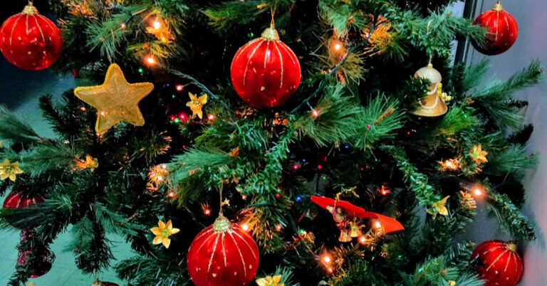 Sapin de Noël pour poser les cadeaux des cyclistes