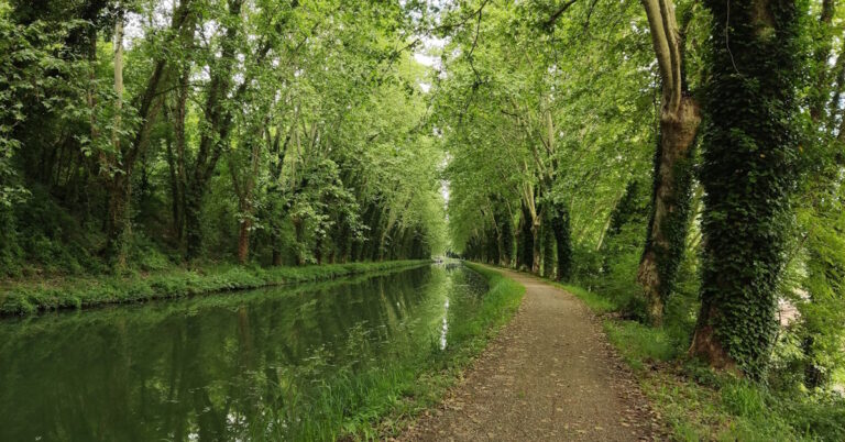 Le canal de la Garonne depuis la piste cyclable